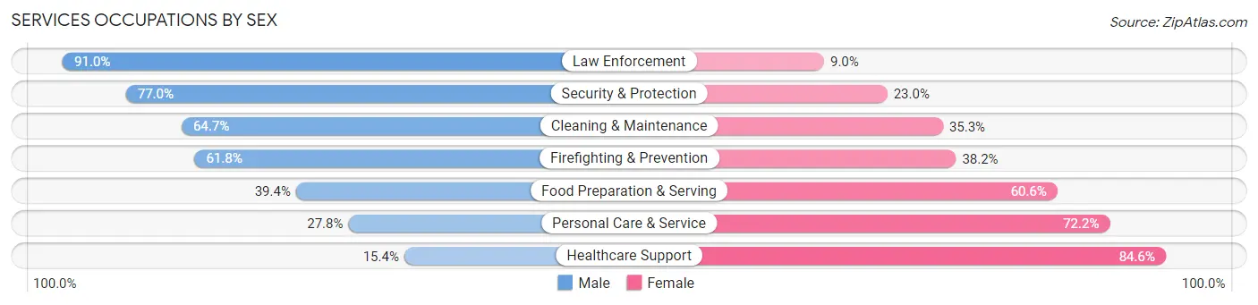 Services Occupations by Sex in Chautauqua County