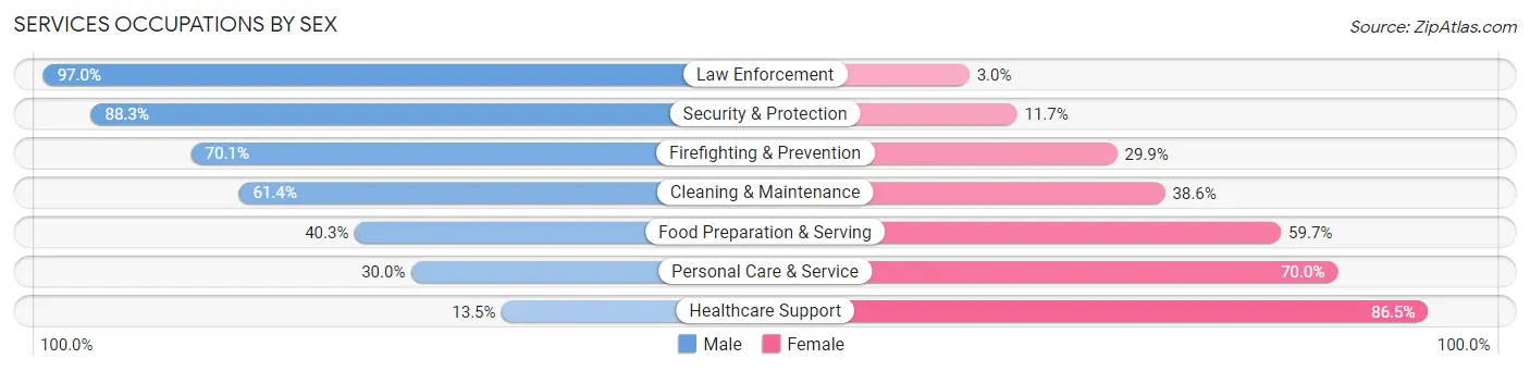 Services Occupations by Sex in Chemung County