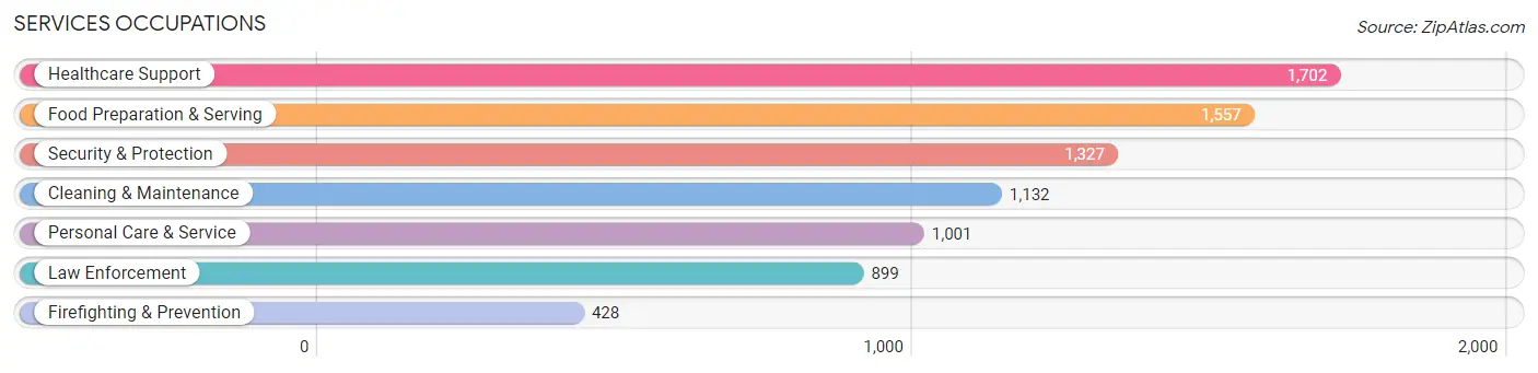 Services Occupations in Chemung County