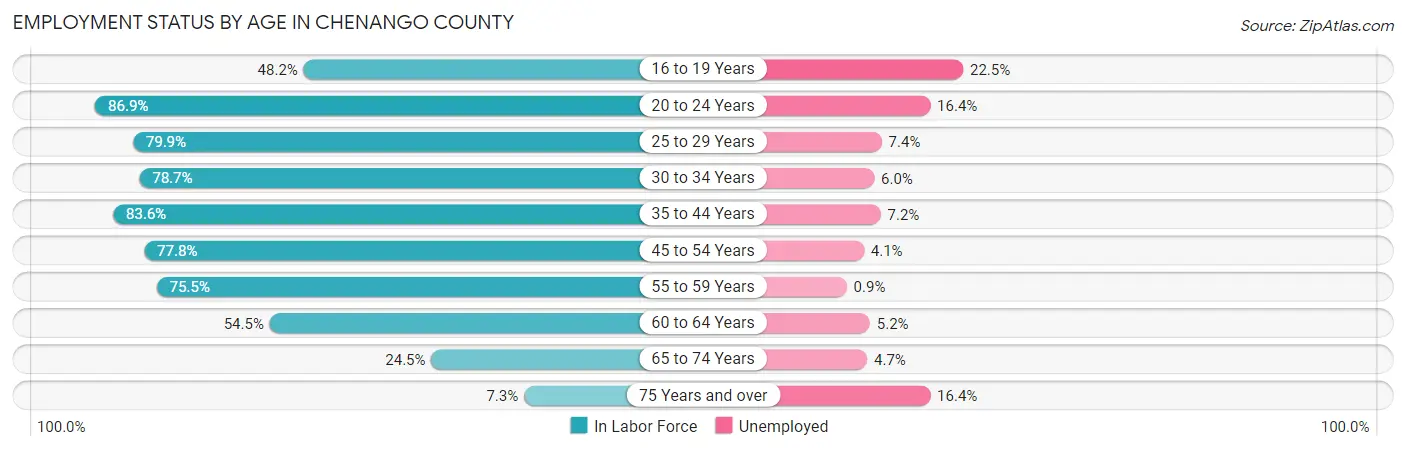 Employment Status by Age in Chenango County