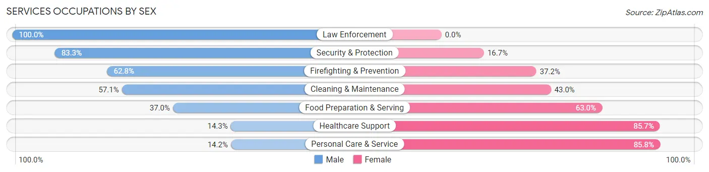 Services Occupations by Sex in Chenango County