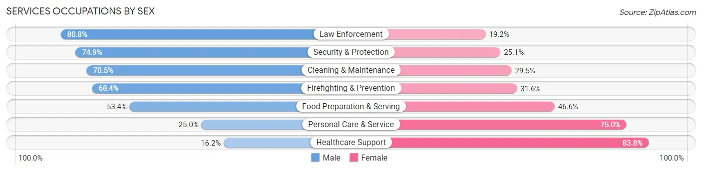 Services Occupations by Sex in Dutchess County