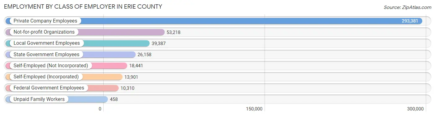 Employment by Class of Employer in Erie County