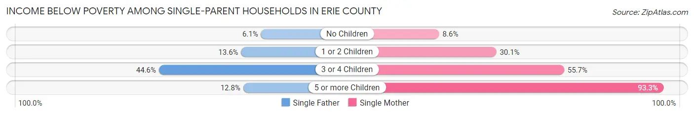 Income Below Poverty Among Single-Parent Households in Erie County