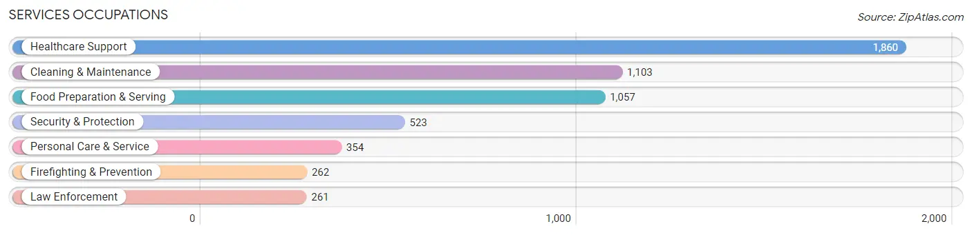 Services Occupations in Fulton County