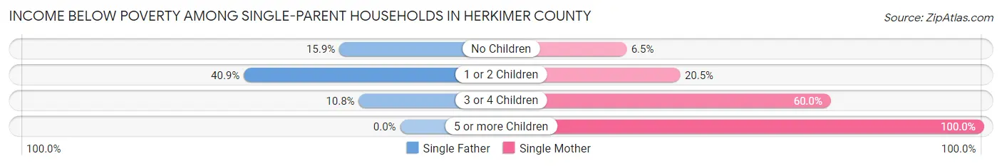 Income Below Poverty Among Single-Parent Households in Herkimer County