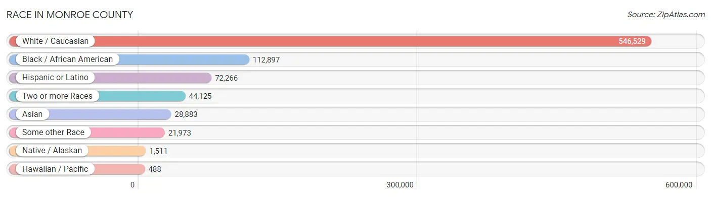 Race in Monroe County