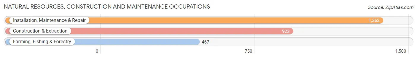 Natural Resources, Construction and Maintenance Occupations in Orleans County