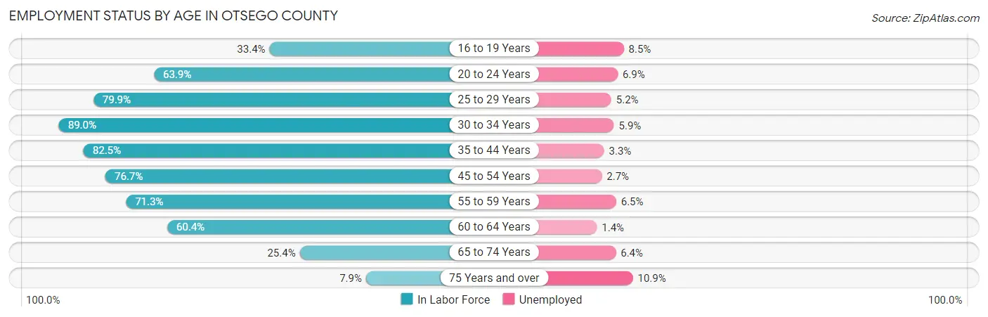 Employment Status by Age in Otsego County