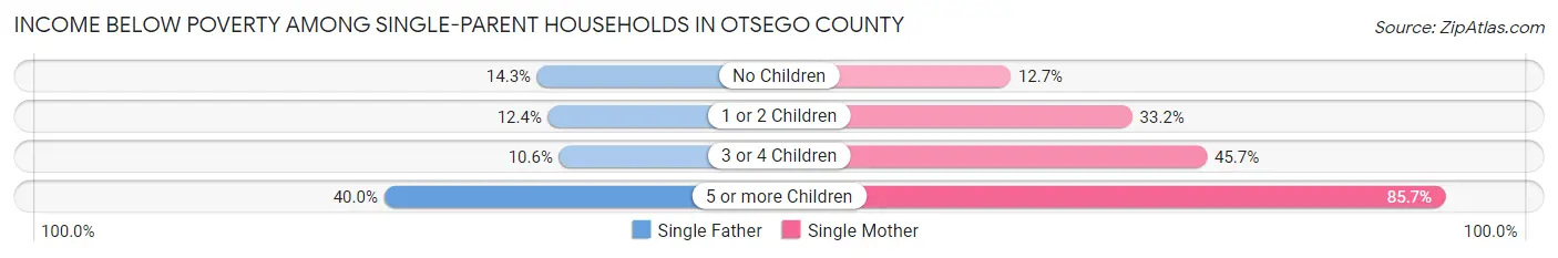 Income Below Poverty Among Single-Parent Households in Otsego County
