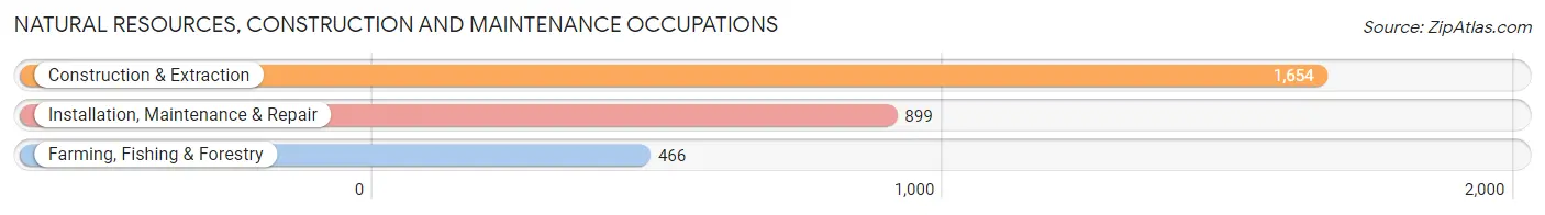 Natural Resources, Construction and Maintenance Occupations in Otsego County