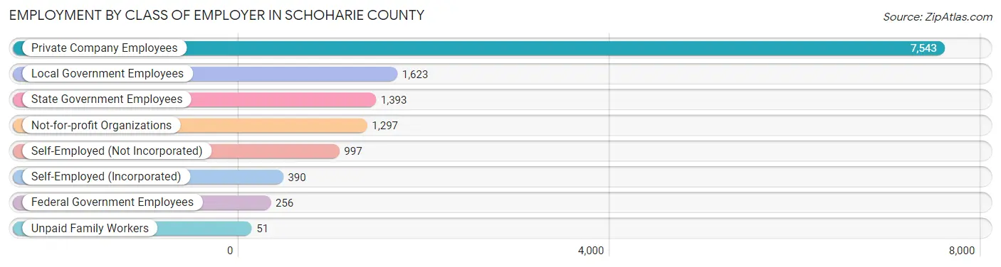 Employment by Class of Employer in Schoharie County