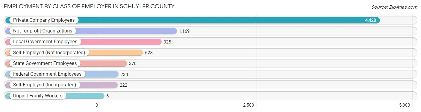 Employment by Class of Employer in Schuyler County