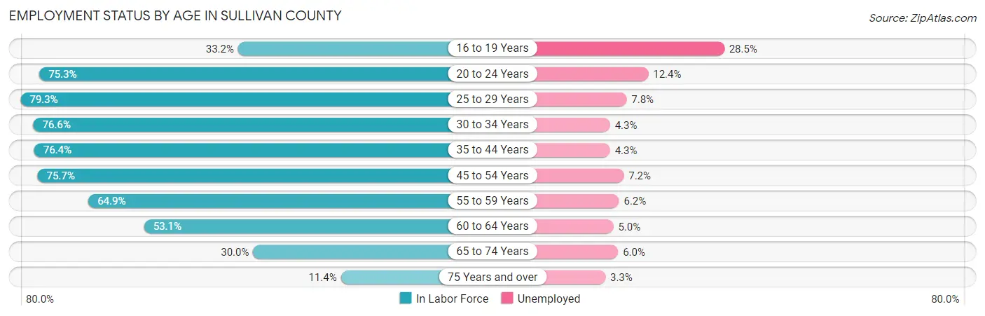 Employment Status by Age in Sullivan County