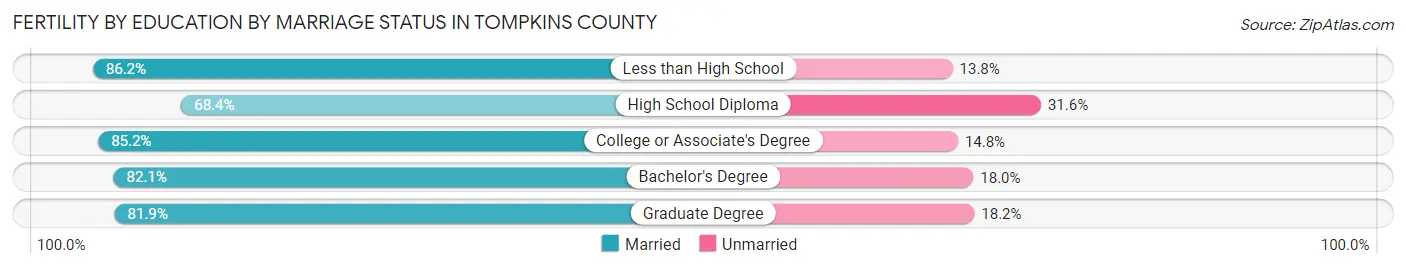Female Fertility by Education by Marriage Status in Tompkins County