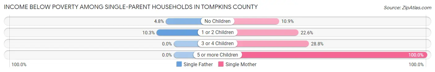 Income Below Poverty Among Single-Parent Households in Tompkins County