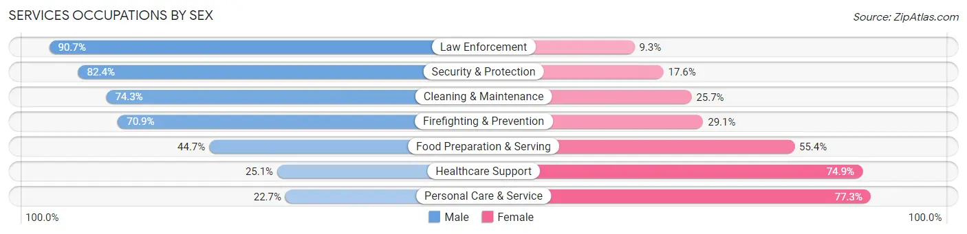 Services Occupations by Sex in Ulster County