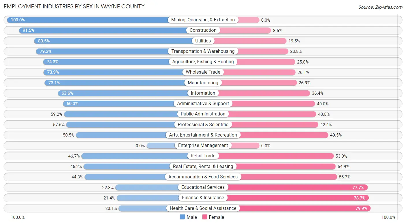 Employment Industries by Sex in Wayne County