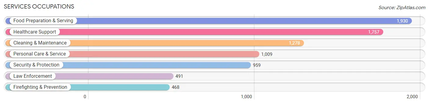 Services Occupations in Wayne County