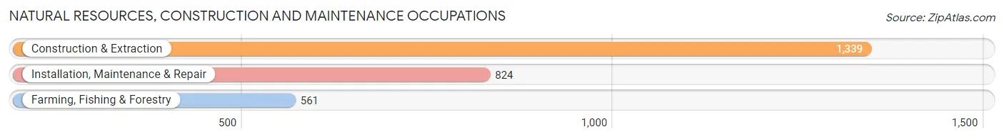 Natural Resources, Construction and Maintenance Occupations in Wyoming County
