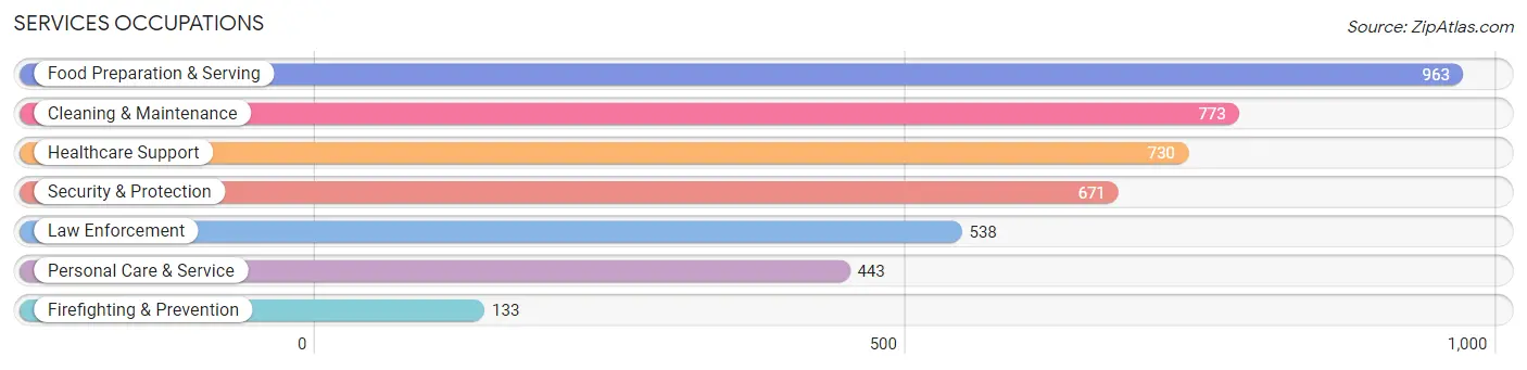 Services Occupations in Wyoming County