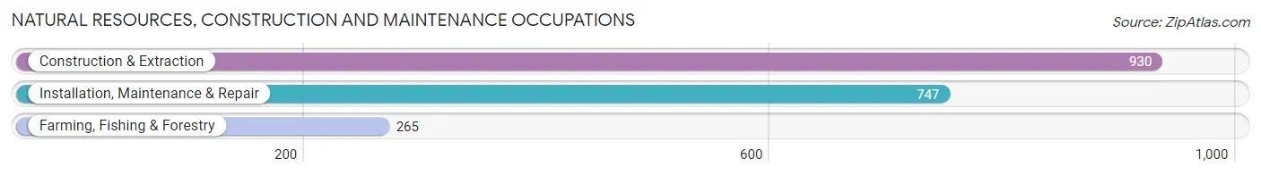 Natural Resources, Construction and Maintenance Occupations in Auglaize County