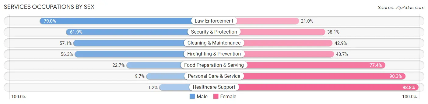 Services Occupations by Sex in Brown County