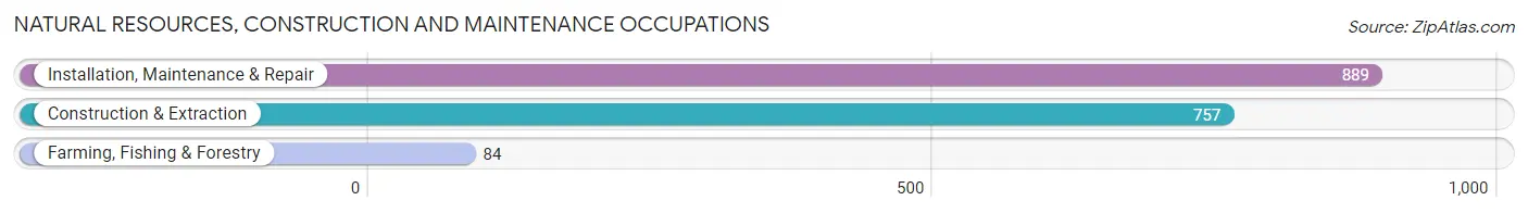 Natural Resources, Construction and Maintenance Occupations in Champaign County