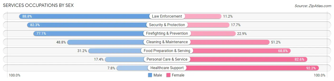 Services Occupations by Sex in Clinton County