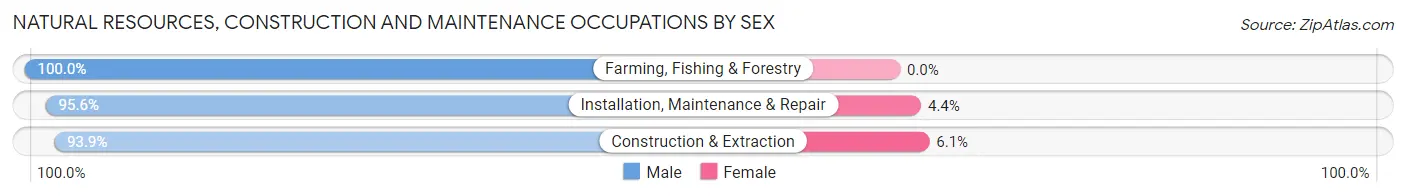 Natural Resources, Construction and Maintenance Occupations by Sex in Defiance County