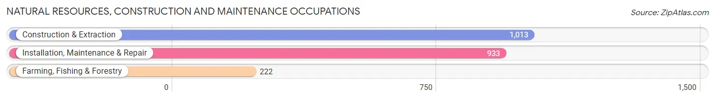 Natural Resources, Construction and Maintenance Occupations in Defiance County
