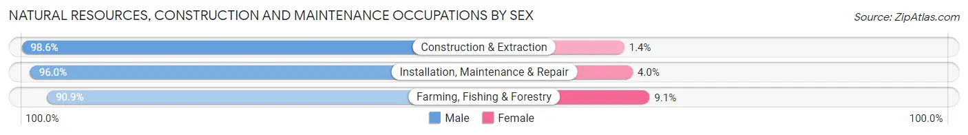 Natural Resources, Construction and Maintenance Occupations by Sex in Gallia County