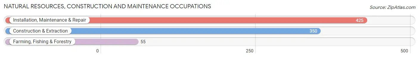 Natural Resources, Construction and Maintenance Occupations in Gallia County