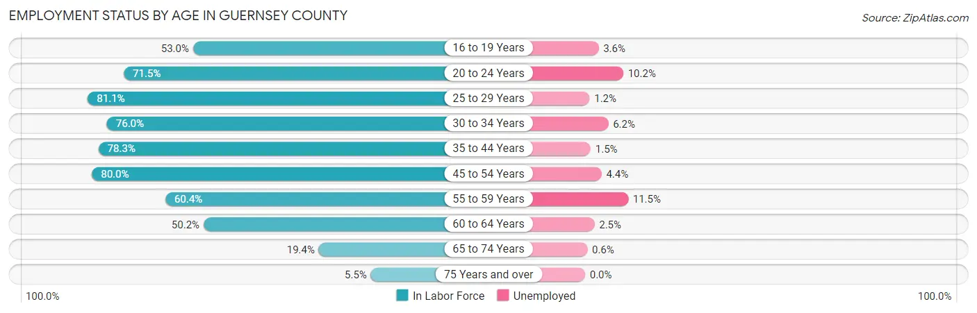 Employment Status by Age in Guernsey County