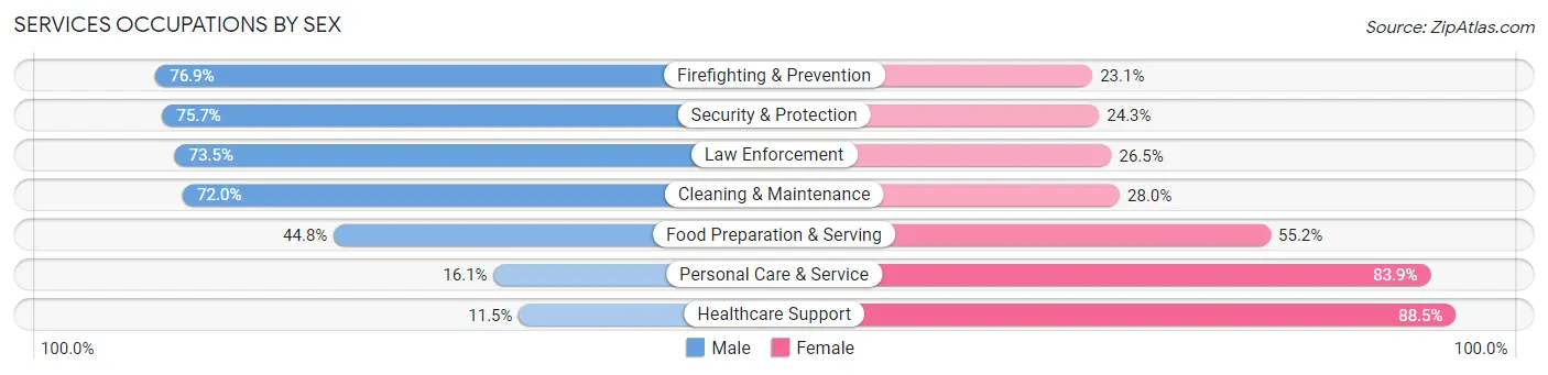 Services Occupations by Sex in Hancock County