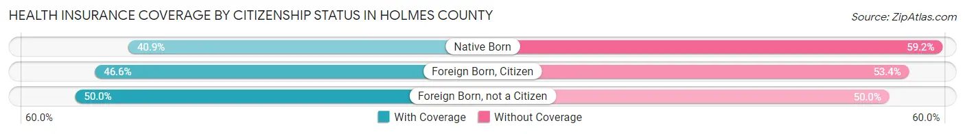 Health Insurance Coverage by Citizenship Status in Holmes County