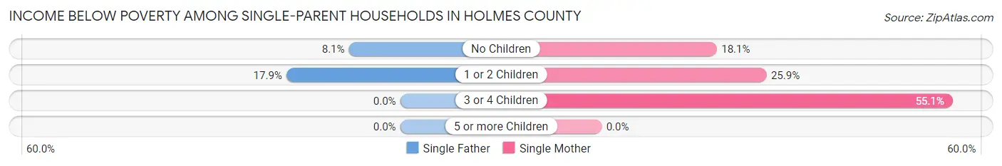 Income Below Poverty Among Single-Parent Households in Holmes County