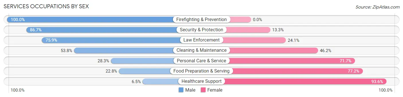 Services Occupations by Sex in Holmes County