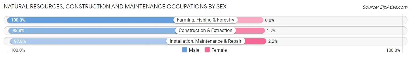 Natural Resources, Construction and Maintenance Occupations by Sex in Lawrence County