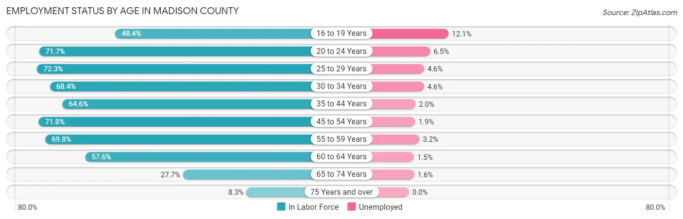 Employment Status by Age in Madison County
