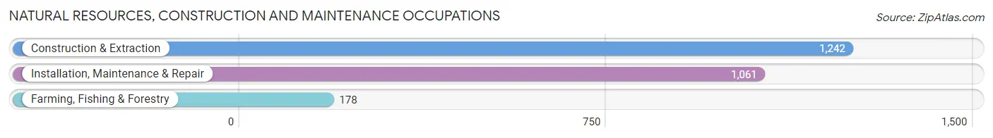 Natural Resources, Construction and Maintenance Occupations in Madison County