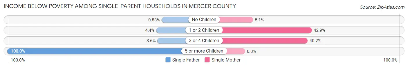 Income Below Poverty Among Single-Parent Households in Mercer County