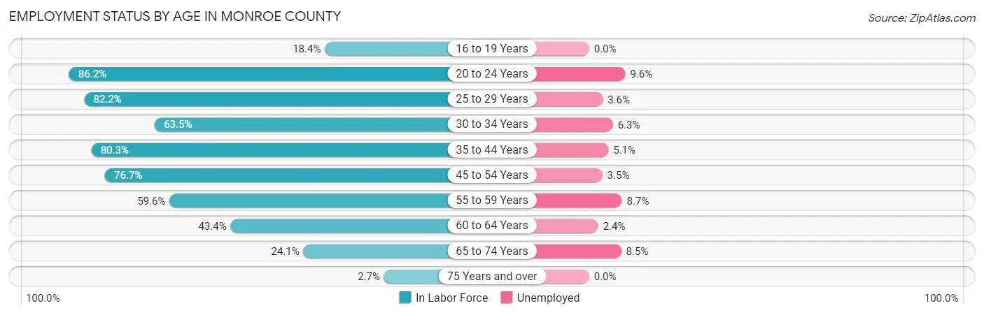 Employment Status by Age in Monroe County