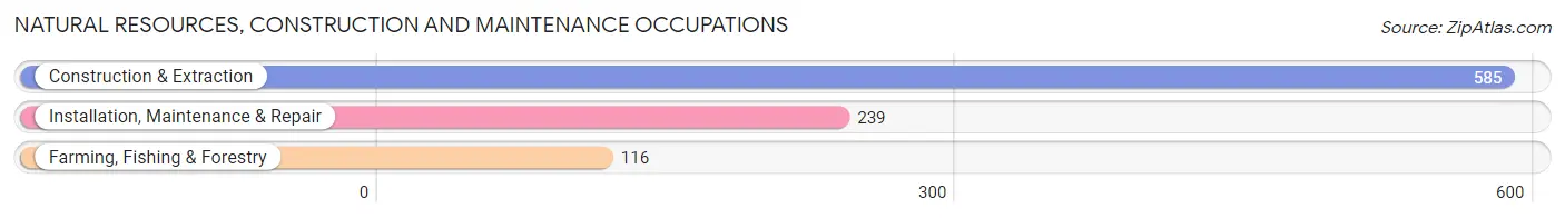 Natural Resources, Construction and Maintenance Occupations in Monroe County
