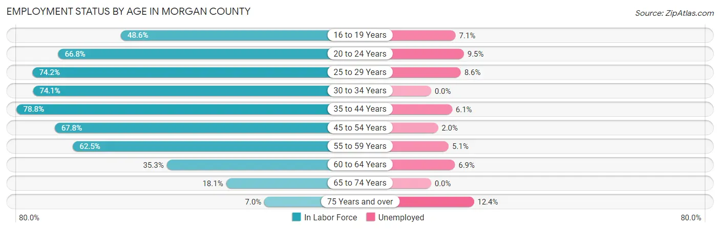 Employment Status by Age in Morgan County