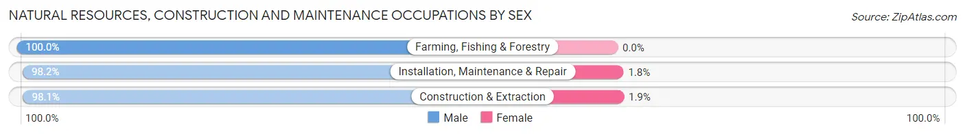 Natural Resources, Construction and Maintenance Occupations by Sex in Pike County