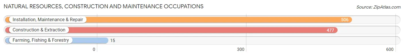 Natural Resources, Construction and Maintenance Occupations in Pike County