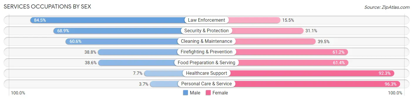 Services Occupations by Sex in Putnam County