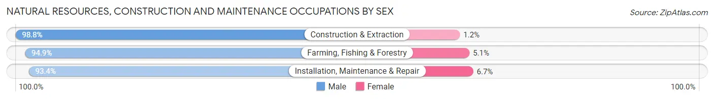 Natural Resources, Construction and Maintenance Occupations by Sex in Shelby County