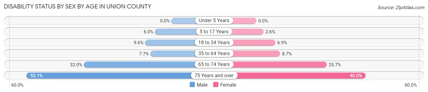 Disability Status by Sex by Age in Union County